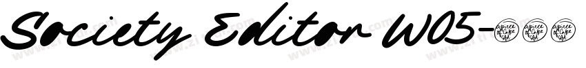 Society Editor W05字体转换